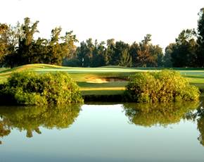 Greenery on the Sir Henry Cotton Championship Course at Penina Hotel and Golf Resort